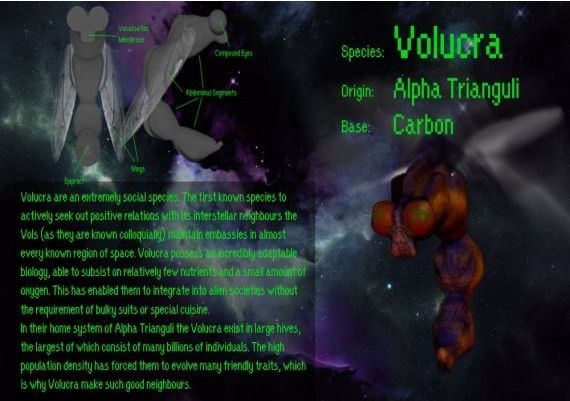 Space Station Alpha EN/ES Global Steam Digital Key