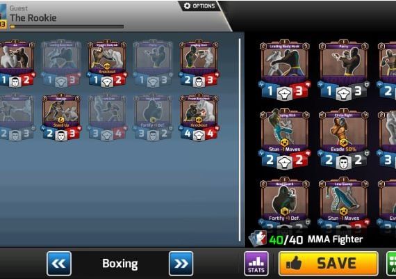 MMA Arena EN Global Steam Digital Key