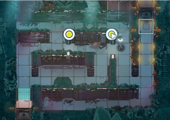 Professor Lupo: Ocean Global Steam Digital Key