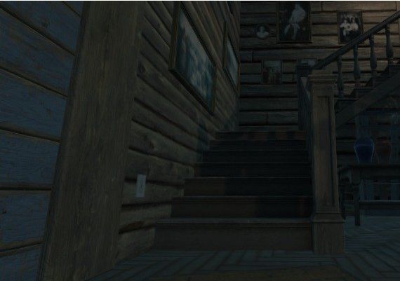 Sick EN Global Steam Digital Key