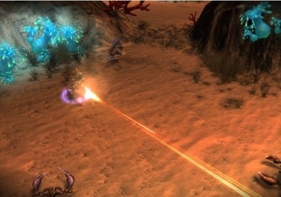 Greed: Black Border EN/DE Global Steam Digital Key