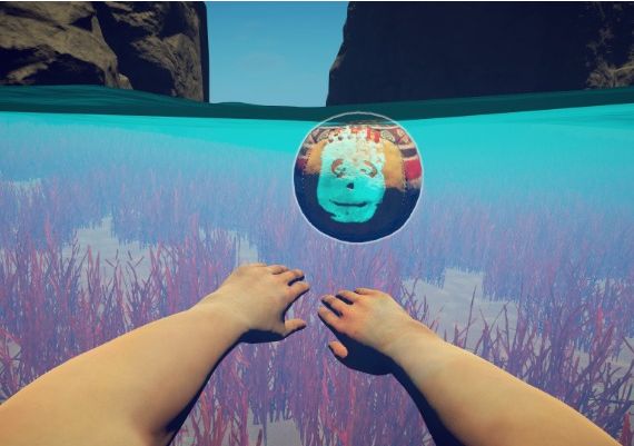 Survival: Fountain of Youth - Supporter Pack DLC EN/DE/FR/RU/ZH Global Steam Digital Key