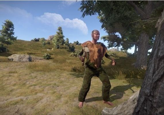 Rust EN Global Steam Digital Key