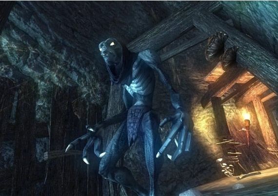 Risen 1 EN Argentina Xbox One/Series Digital Key