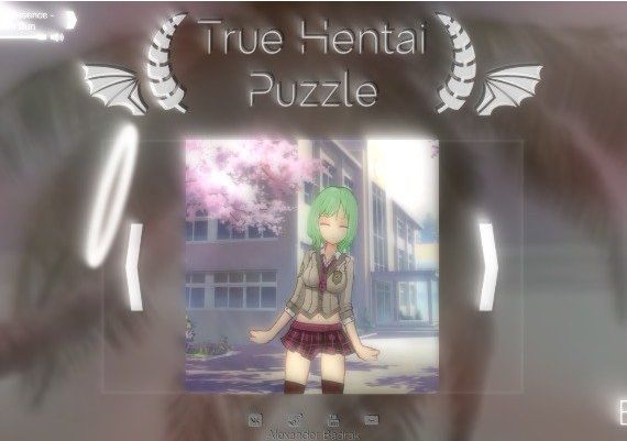 True Hentai Puzzle EN/DE/FR/JA/KO/NO/RU/ZH Global Steam Digital Key