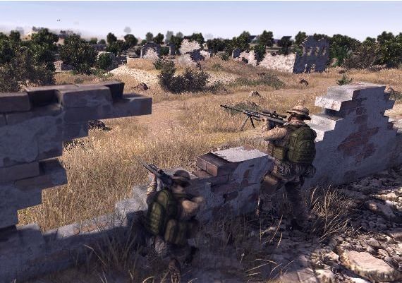 Call to Arms Basic Edition EN/DE/FR/IT/RU/ZH Global Steam Digital Key