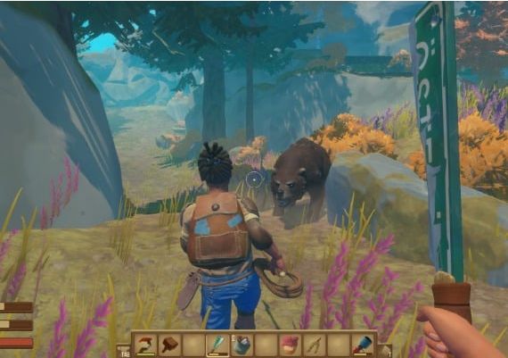 Raft Global Steam Digital Key