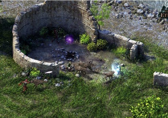 Pillars of Eternity - Collection EN/DE/FR/IT/PL/RU/ES Global Steam Digital Key
