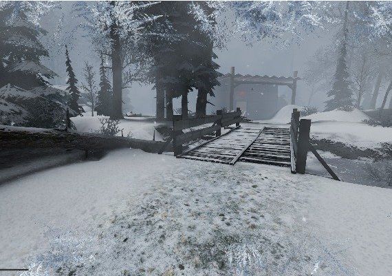 Boris The Rocket Global Steam Digital Key