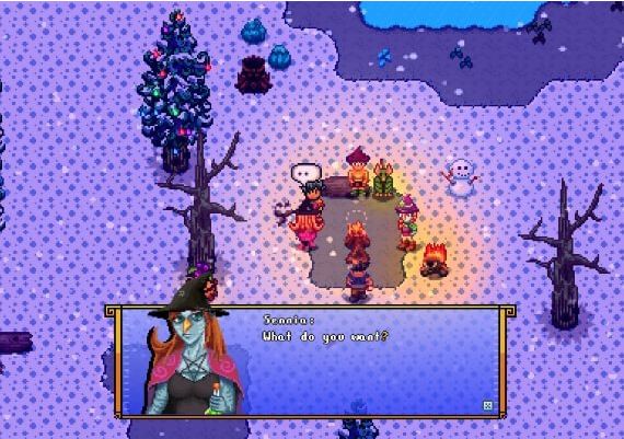 Serin Fate EN Global Steam Digital Key