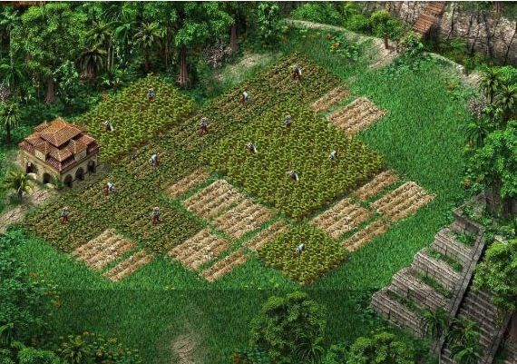 The Great Art Race EN Global Steam Digital Key