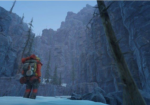 Insurmountable EN/DE/FR/PT/ES Global Steam Digital Key