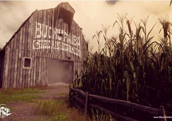 Maize EN Global Steam Digital Key