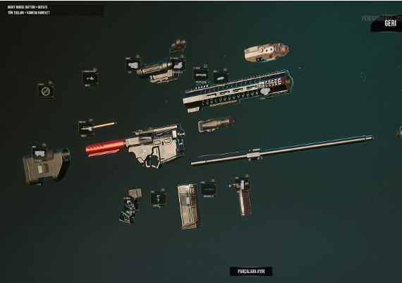 Contain EN/TR Global Steam Digital Key