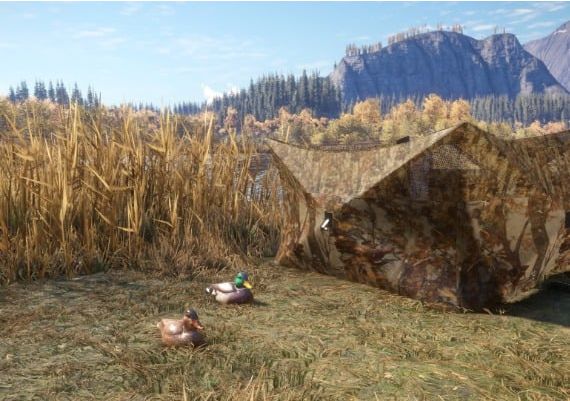 theHunter: Call of the Wild - Duck and Cover Pack DLC EN EU Steam Digital Key