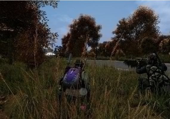 DayZ EN EU PS4 Digital Key