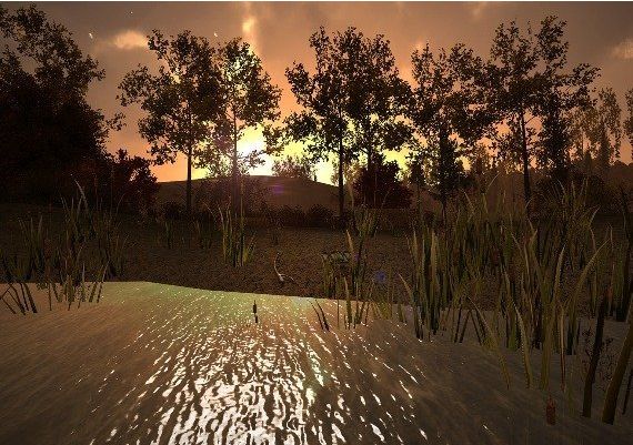 Home is Where One Starts... EN Global Steam Digital Key