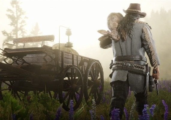 Red Dead: Online - Steam Account Global Steam Digital Key