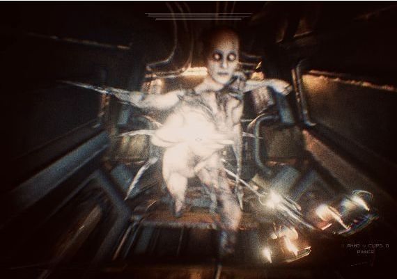 Hollow Global Steam Digital Key