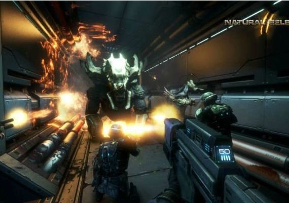 Natural Selection 2 EN/DE/FR/IT Global Steam Digital Key