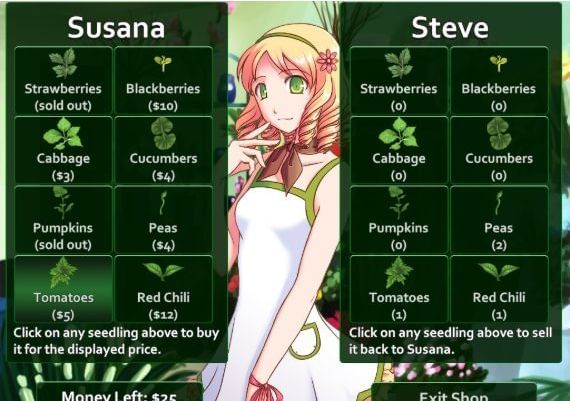 Flower Shop: Summer In Fairbrook EN Global Steam Digital Key