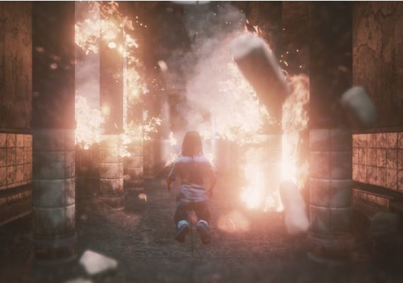 The Butterfly Sign EN/DE/FR/RU/ES Global Steam Digital Key