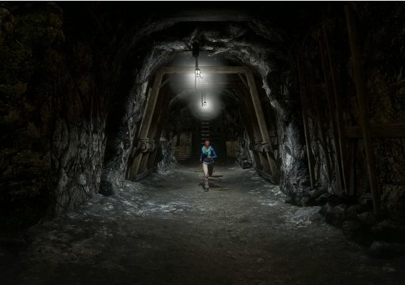 Secret World Legends - Dawn of the Morninglight DLC Collector's Edition EN/DE/FR Global Steam Digital Key