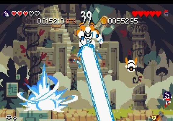 Curses 'N Chaos EN/FR Global Steam Digital Key