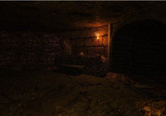 Position EN/RU/ZH Global Steam Digital Key