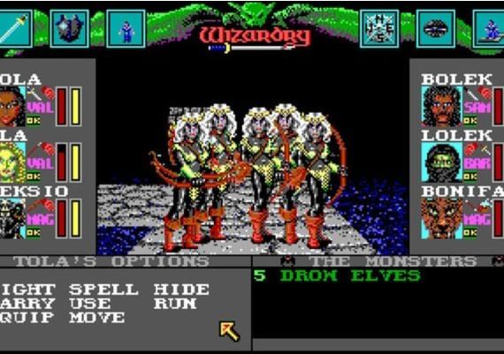 Wizardry 6 and 7 EN/DE Global Steam Digital Key