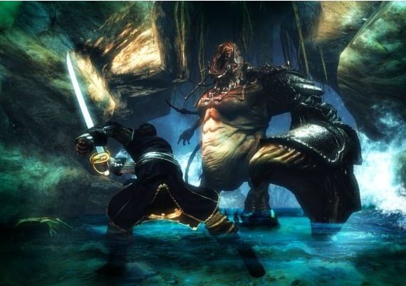 Risen 2: Dark Waters Gold Edition EN/DE/FR/IT/PL/CS/RU/ES Global Steam Digital Key