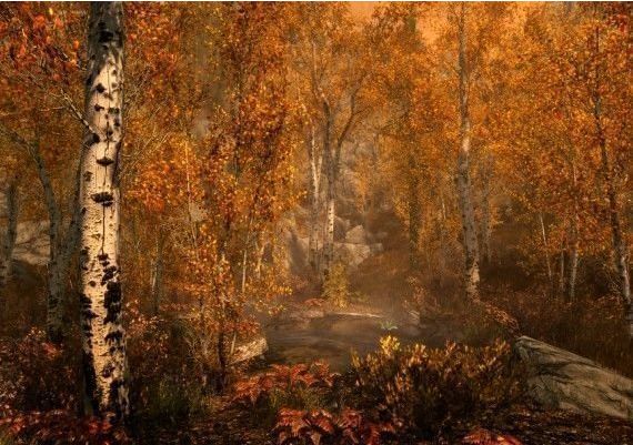 The Elder Scrolls V: Skyrim Special Edition EN United States Xbox One/Series Digital Key