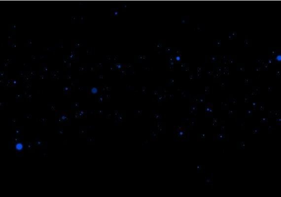 The Vale: Shadow of the Crown EN Turkey Xbox One/Series Digital Key