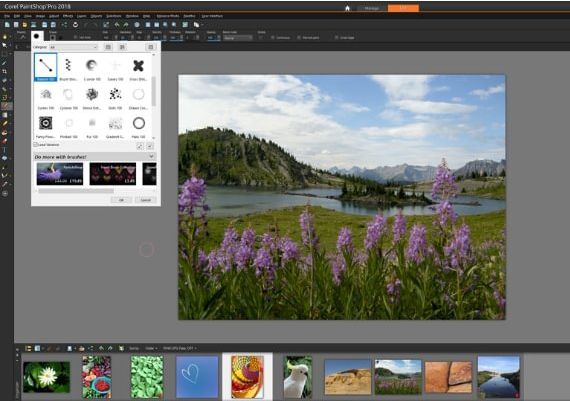 Corel PaintShop Pro x9 EN Global Software License Digital Key