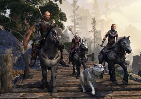 TESO The Elder Scrolls Online EN Global Official website Digital Key