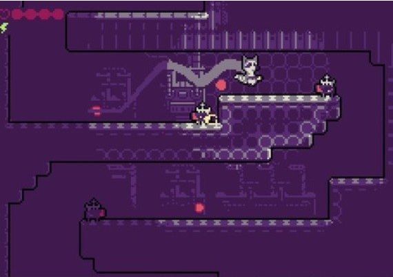 Trash Quest EN United States Xbox One/Series Digital Key