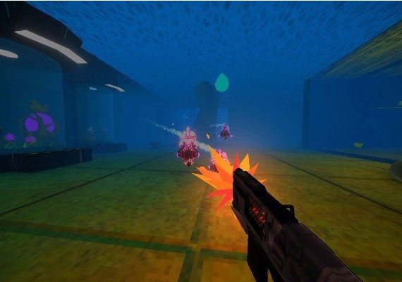 Kur EN Global Steam Digital Key