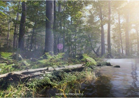 Birding Simulator: Bird Photographer PRE-ORDER Global Steam Digital Key