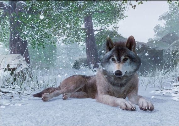 Planet Zoo - Bundle Premium Edition Global Steam Digital Key