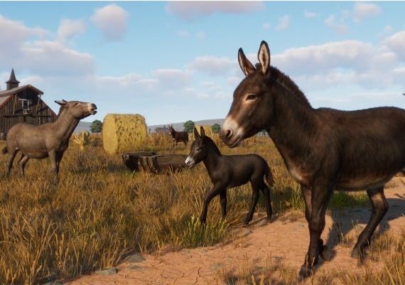 Planet Zoo - Barnyard Animal Pack DLC EU Steam Digital Key