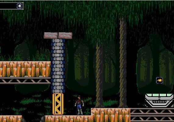 BioMech EN Global Steam Digital Key