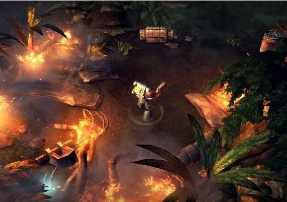 Warhammer 40,000: Space Wolf EN Global Steam Digital Key