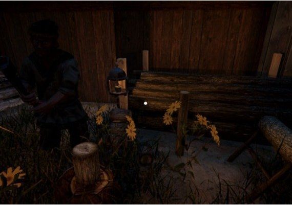 Ludus Global Steam Digital Key