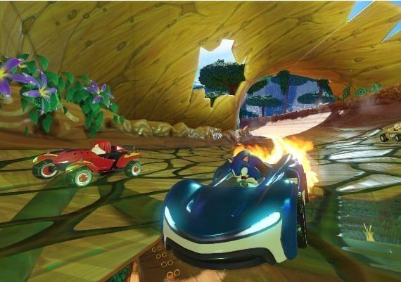 Team Sonic Racing EN/DE/FR/IT/ES EU Steam Digital Key