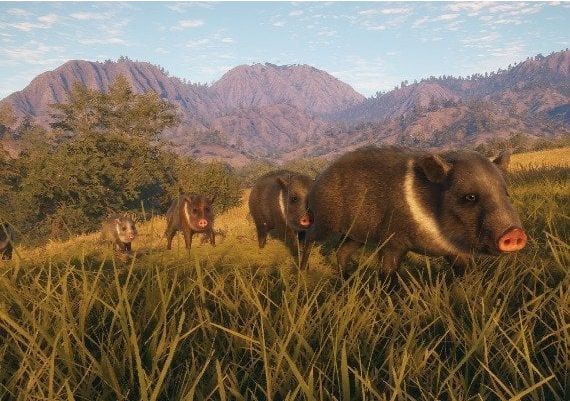 theHunter: Call of the Wild - Rancho del Arroyo DLC EN United Kingdom Xbox One/Series Digital Key