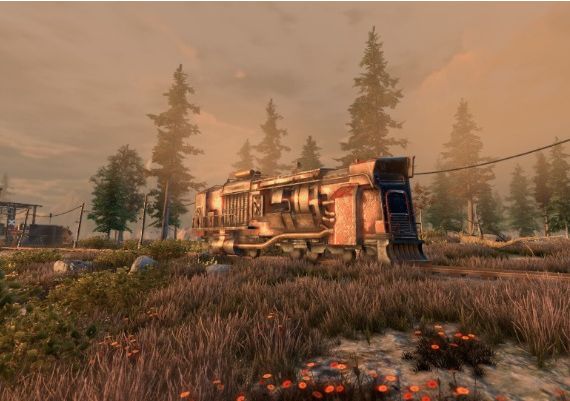 New Cycle - Supporter Pack DLC Global Steam Digital Key