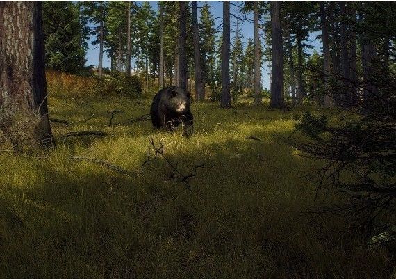 Way of the Hunter Global Steam Digital Key