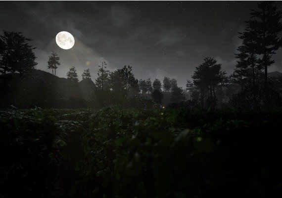 CASE 2: Animatronics Survival EN Argentina Xbox One/Series Digital Key