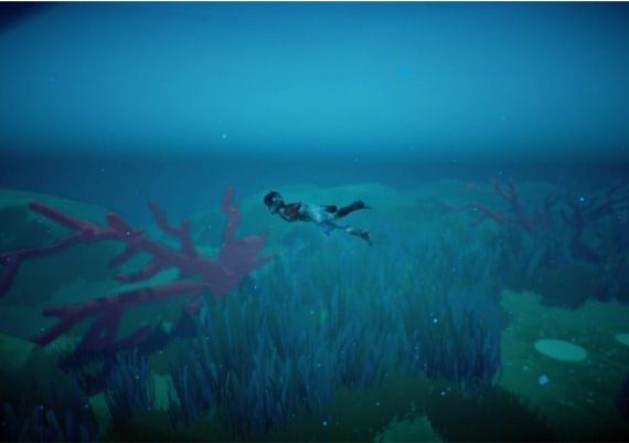 RiMe EN Argentina Xbox One/Series Digital Key