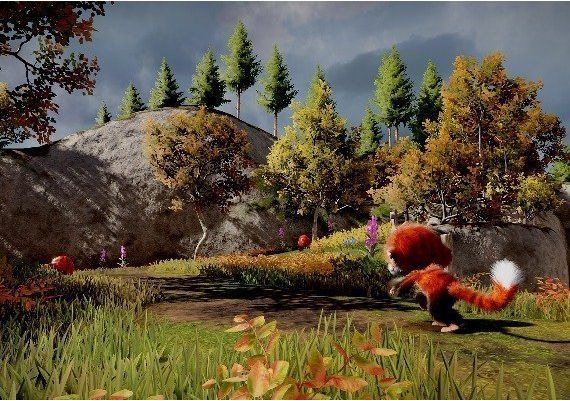 Tamarin EN Argentina Xbox One/Series Digital Key